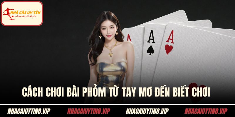 Cách Chơi Bài Phỏm Từ Tay Mơ Đến Biết Chơi Chỉ Vài Phút 1 Cách chơi bài phỏm