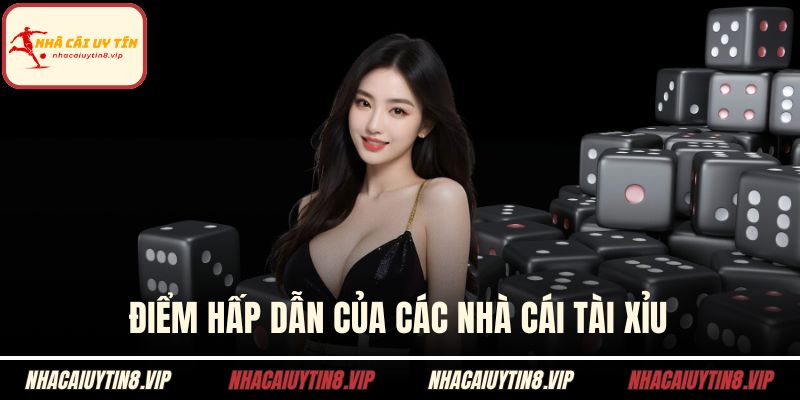 Nhà Cái Tài Xỉu - Cơ Hội Tham Gia Cược Không Giới Hạn 1 Điểm hấp dẫn của các nhà cái tài xỉu