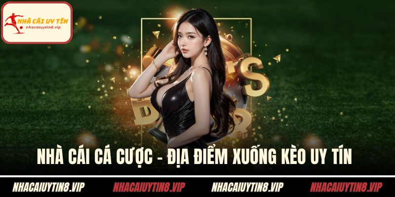 Nhà Cái Cá Cược - Địa Điểm Xuống Kèo Uy Tín Hàng Đầu 6 Nhà cái cá cược