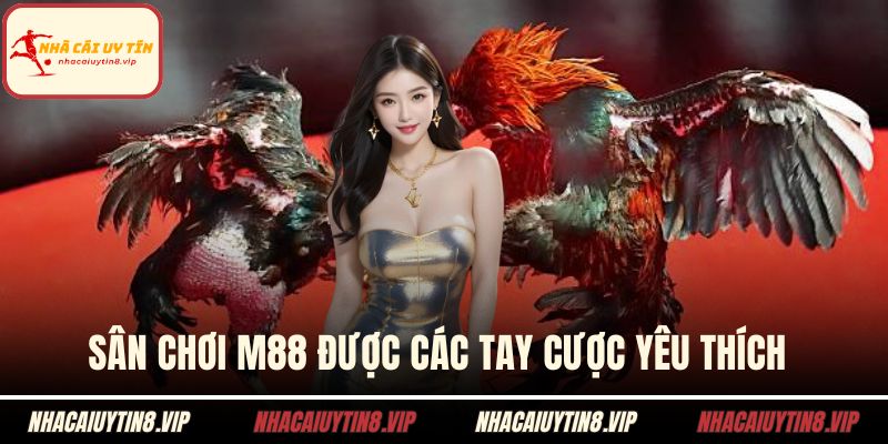 Nhà Cái Đá Gà - Sân Chơi Kịch Tính Cho Anh Em Đam Mê 3 Sân chơi M88 được các tay cược yêu thích